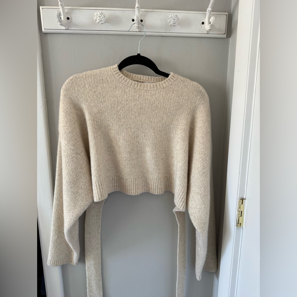 ZARA Open Back Sweater